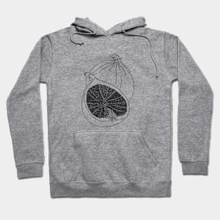 fig Hoodie